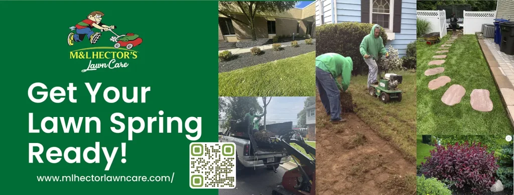 Professional Lawn Care Services